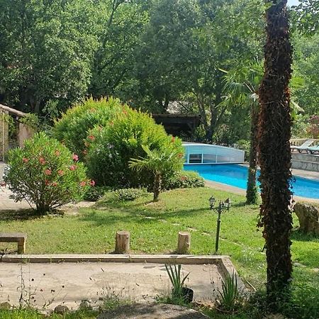 Villa Eden Vert Fayence Esterno foto