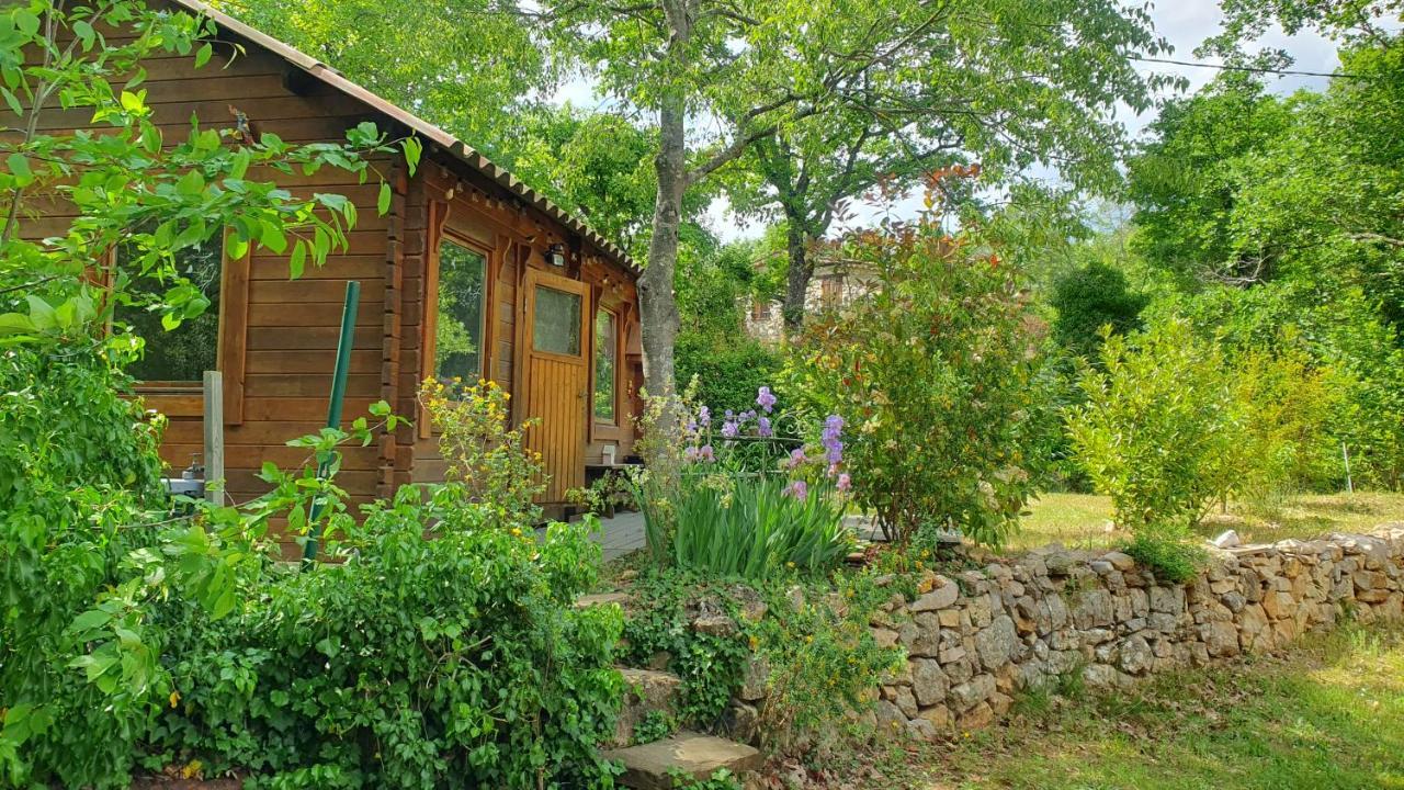 Villa Eden Vert Fayence Esterno foto