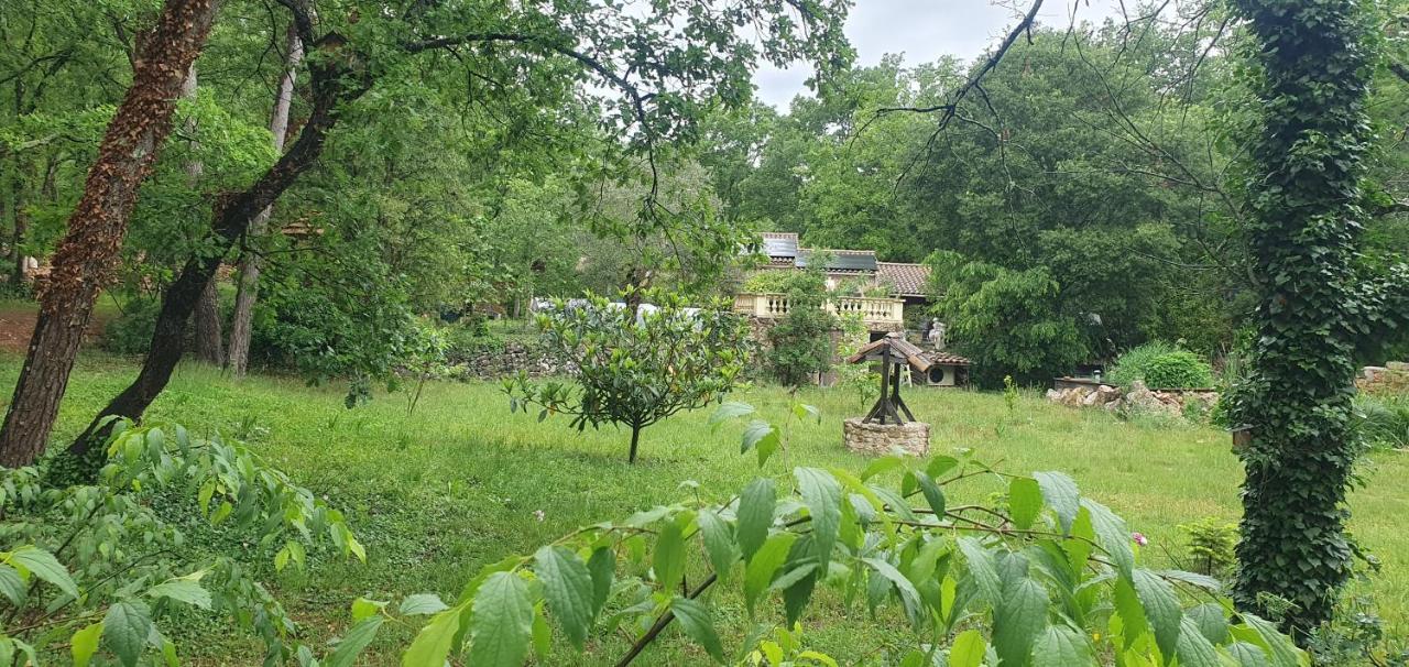 Villa Eden Vert Fayence Esterno foto