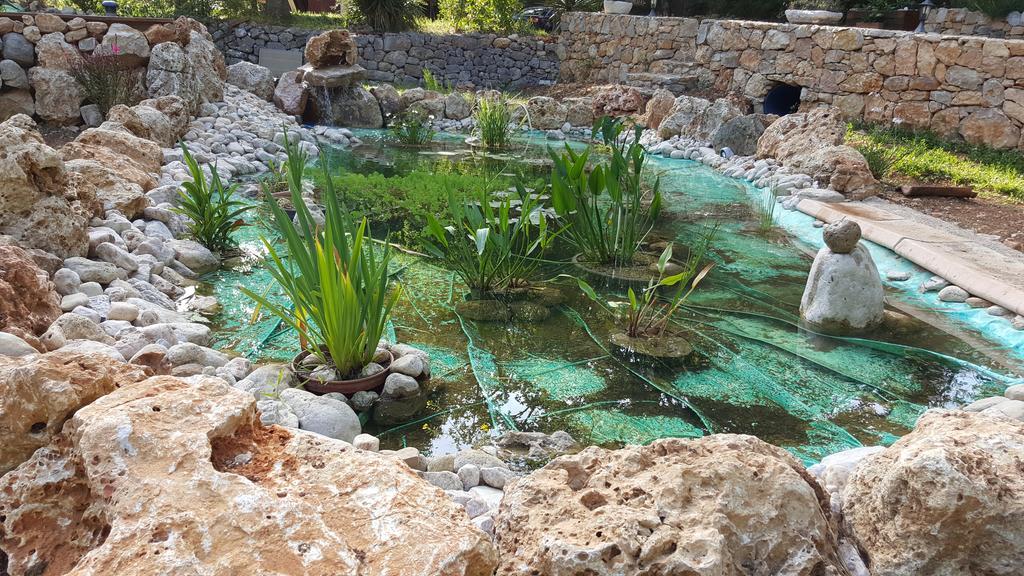 Villa Eden Vert Fayence Esterno foto