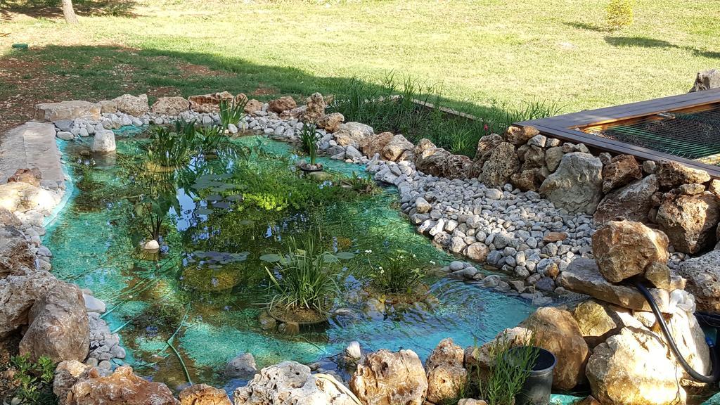 Villa Eden Vert Fayence Esterno foto