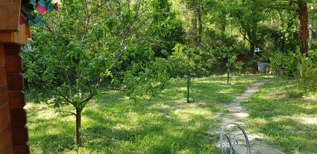 Villa Eden Vert Fayence Esterno foto